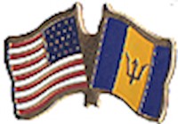 Barbados/United States of America (USA) Friendship Pin