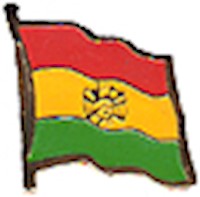 Bolivia Lapel Pin