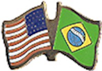 Brazil/United States of America (USA) Friendship Pin