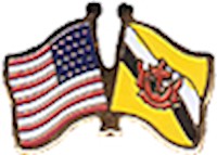 Brunei/United States of America (USA) Friendship Pin
