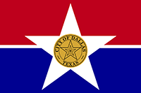 Dallas City Nylon Flags