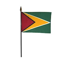 4 Inch (in) Height x 6 Inch (in) Length Guyana Nylon Desktop Flag