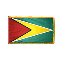 Guyana Indoor Nylon Flag with Fringe