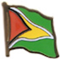 Guyana Lapel Pin