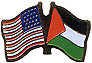 Palestine/United States of America (USA) Friendship Pin