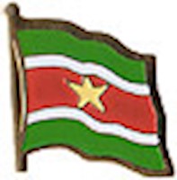 Suriname Lapel Pin