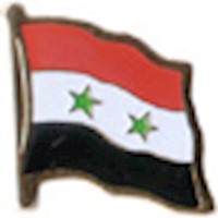 Syria Lapel Pin
