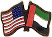 United Arab Emirates/United States of America (USA) Friendship Pin