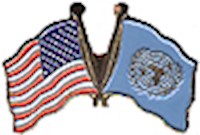 United Nations/United States of America (USA) Friendship Pin