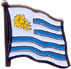 Uruguay Lapel Pin