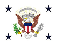 Vice Presidential Flags
