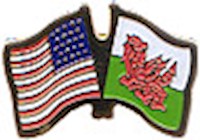 Wales/United States of America (USA) Friendship Pin