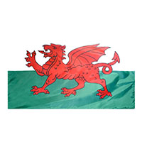 Wales Nylon Flag