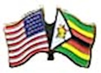 Zimbabwe/United States of America (USA) Friendship Pin