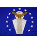 Air Force Senior Executive Service Flags