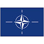 NATO Outdoor Nylon Flag