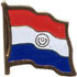 Paraguay Lapel Pin