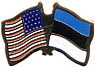 Estonia/United States of America (USA) Friendship Pin