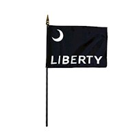 Fort Moultrie 4 Inch (in) Height x 6 Inch (in) Length Desktop Flag