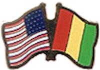 Guinea/United States of America (USA) Friendship Pin