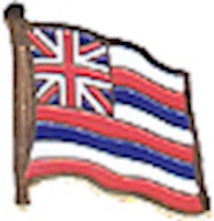 Hawaii Flag Lapel Pin