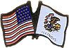 Illinois/United States of America (USA) Friendship Pin
