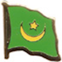 Mauritania Lapel Pin