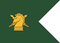 Psychological Army Guidon Flag