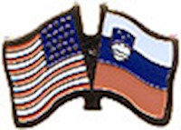 Slovenia/United States of America (USA) Friendship Pin