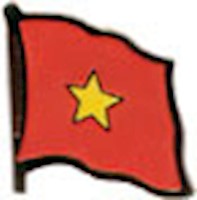 Vietnam Lapel Pin
