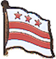 Washington D.C. Flag Lapel Pin