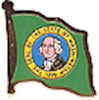 Washington Flag Lapel Pin