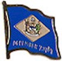 Delaware Flag Lapel Pin