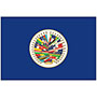 Organization of American States (OAS) Outdoor Nylon Flag Set