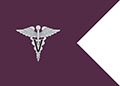 Veterinary Corps Army Guidon Flag