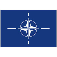 NATO Nylon Flags (6)