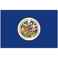 Organization of American States (OAS) Nylon Flags (5)
